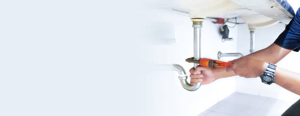 Professional Plumbing  in Wabasha, MN